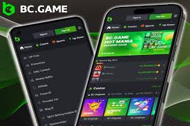 Explore the Exciting World of BC.Game Platform