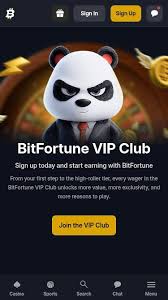Exploring Provably Fair Games at Bitfortune Transparency and Trust in Online Gaming