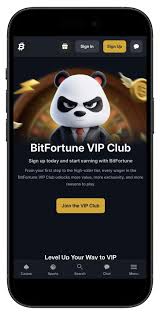 The Bitfortune Site Payment Methods A Comprehensive Overview