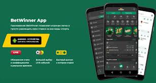 Unlocking Potential A Comprehensive Guide to BetWinner Bonuses